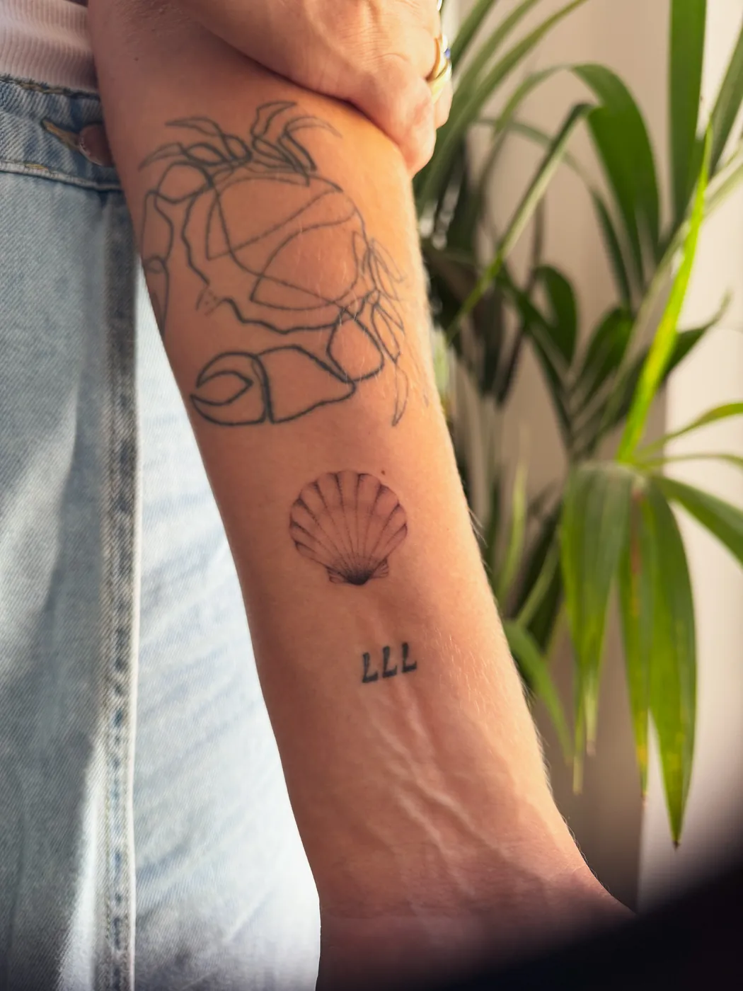 Gezeichnete Rose mit Muschel als Tattoo auf einem Unterarm